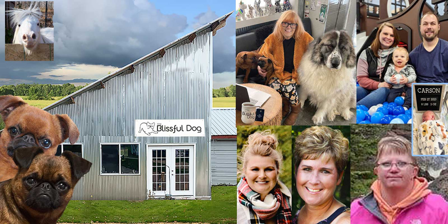blissful dog employees
